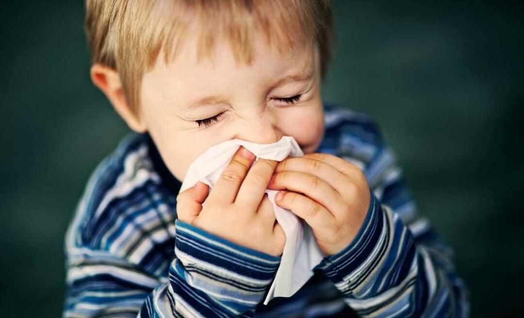Hva er sesongmessig allergi hos barn? Blander det seg med kulde? Hva er bra for sesongmessige allergier?