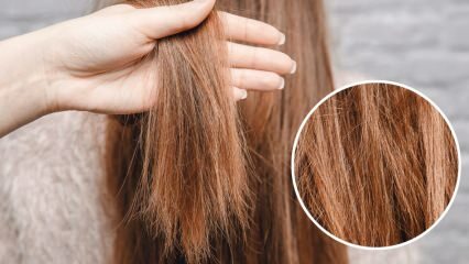 Hva gjøres med det brennende håret fra midten? Hvordan skal det behandlede håret opprettholdes?