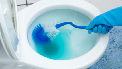 Hvordan rengjøre en toalettbørste? 