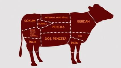 Hva er delene av biff? Hvilket kjøtt er skåret fra hvilken region?