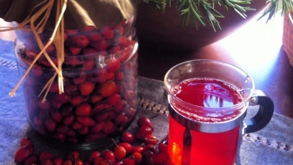 Hva er fordelene med rosehip? Hva er rosehip olje til? Hvordan lages rosehip te?