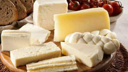 Hvordan lagres ost? Hvordan holde ost fra kjøleskapet