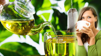 Kan gravide drikke grønn te? Fordelene med grønn te og slankemetode