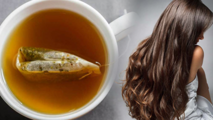 Hva er fordelene med grønn te for hår? Grønn te hudmaske oppskrift