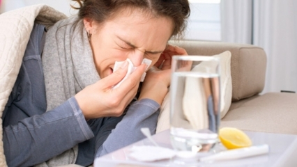 Hva er matvarene som er bra mot forkjølelse og influensa? 5 matvarer som forhindrer influensa ...