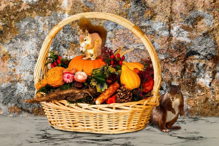 5 gjenstander som vil tilføre hjemmet ditt skjønnhet om høsten!