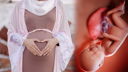 Bønner og esmaül Hüsna dhikrs som skal leses for at babyen skal være sunn under graviditeten