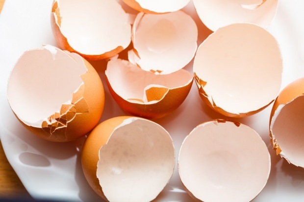 kariesbehandling med eggeskall