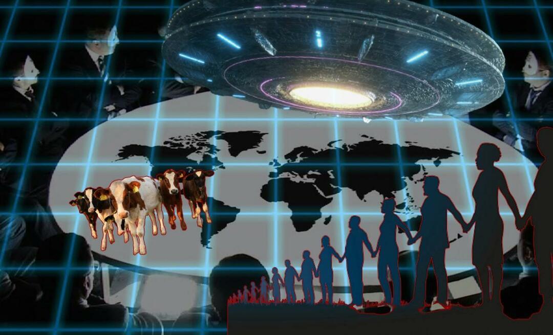 Den virtuelle innesperringen av den globale verden har blitt aktivert! Dyr blir marsvin for 