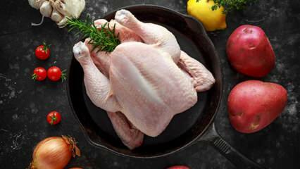 Hvordan vite om kyllingen er bortskjemt? Hva er tegn på at kyllingen ødelegges?