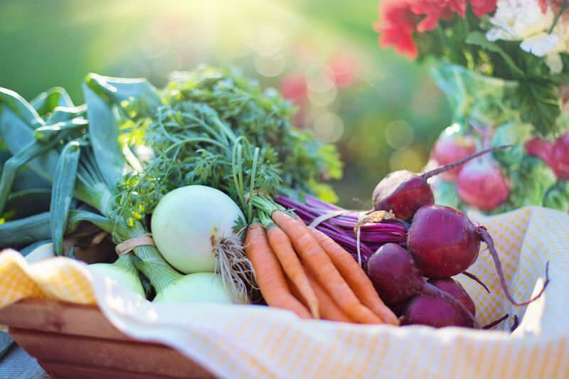 Hva er grønnsakskosten? Hvordan lage et vegetabilsk kosthold