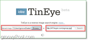 TinEye-skjermbilde - slå opp bildet for duplikater og større versjoner