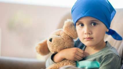 Hva er blodkreft (leukemi)? Leukemi symptomer og behandling hos barn