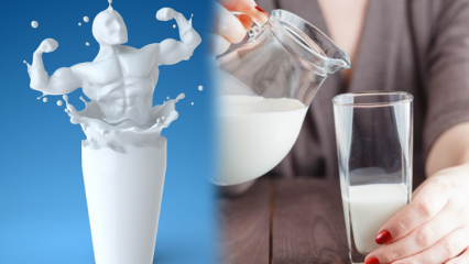 Svekker det å drikke melk før du legger deg? Permanent og sunt slankemelkekost