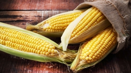 Hva er fordelene med mais? Drikker du saften av kokt mais?