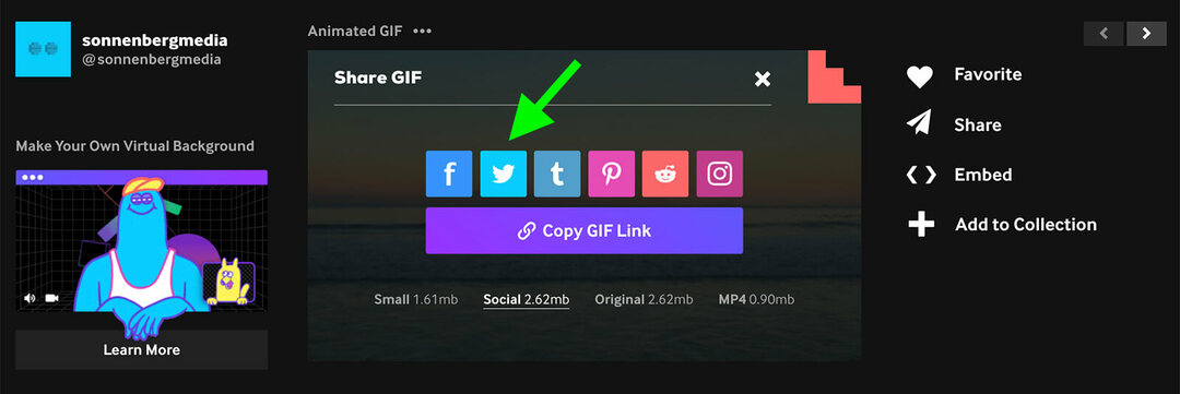 Hvordan lage og bruke GIF-er i Twitter-markedsføringen din: Undersøker for sosiale medier