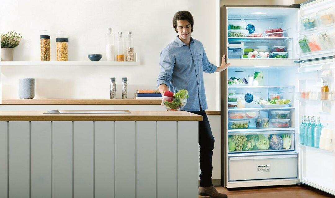 Nysgjerrig på No Frost-kjøleskapet