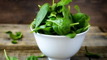 Hvordan forstå giftig spinat? Hvordan rengjøres spinat?