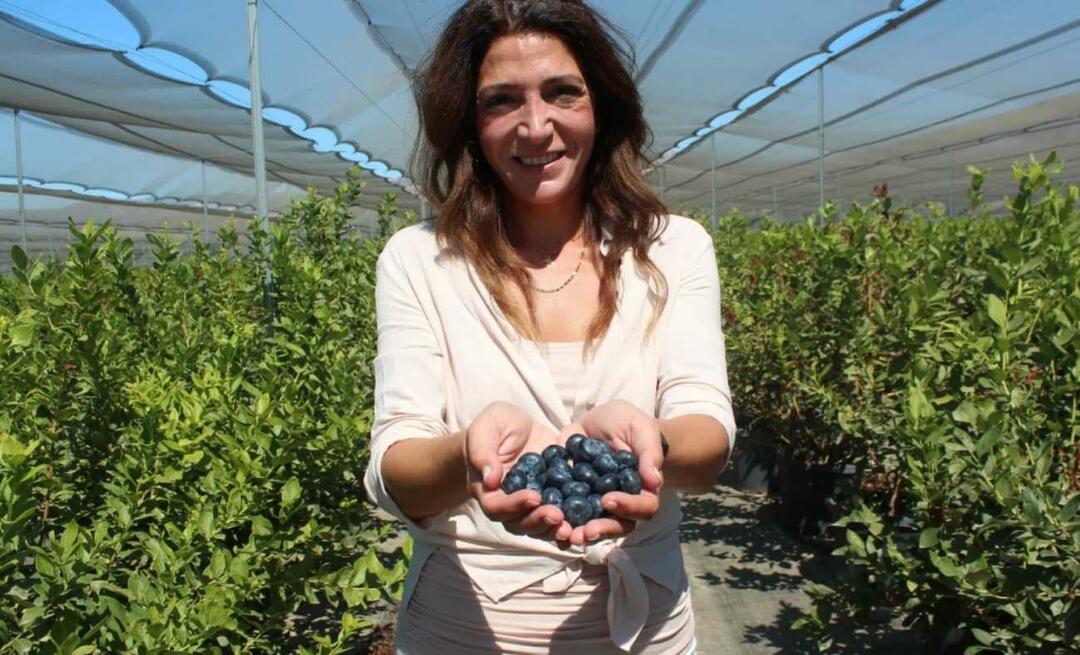 Han ble den tredje største bonden i Tyrkia ved å dyrke blåbær!
