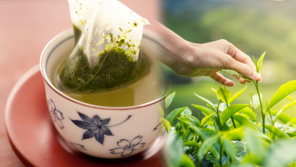 Svekkes ristende grønn te? Hva er forskjellen mellom teposer og brygget te? Hvis du drikker grønn te ved sengetid ...
