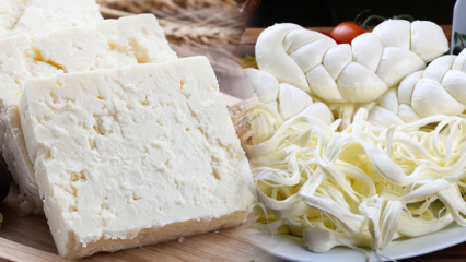 Hvordan forstå god ost? Tips for valg av ost