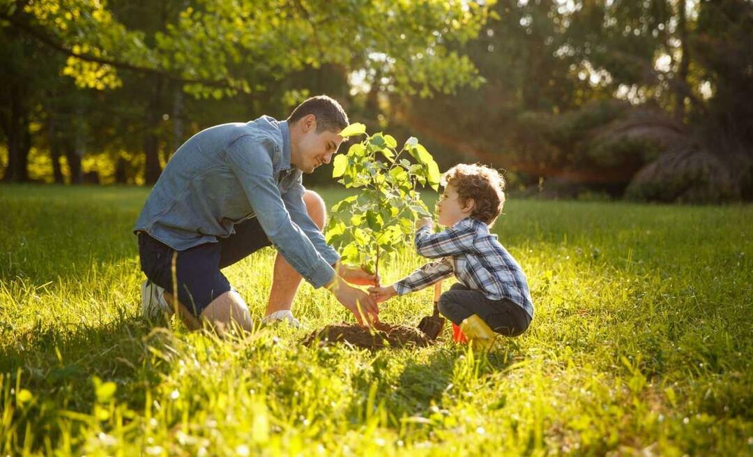 Hva er måtene å innpode kjærlighet til naturen hos barn? Hvordan forklare betydningen av natur for barn?