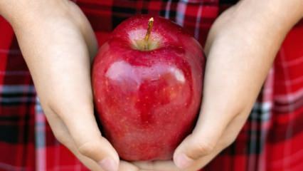 Hvordan vurderes råtne epler? 