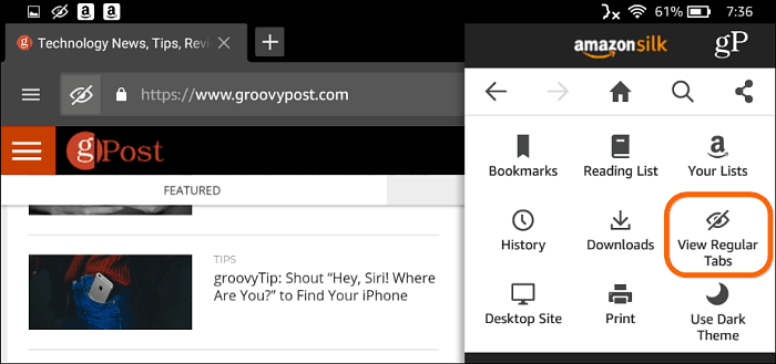 Silk Browser Privat surfing
