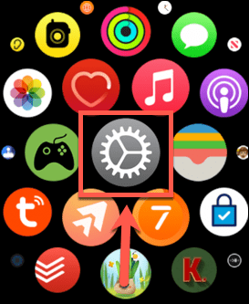 app for apple watch-innstillinger