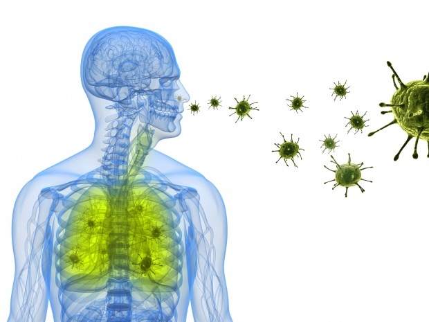 koronavirus legger seg i nesen gjennom lungene