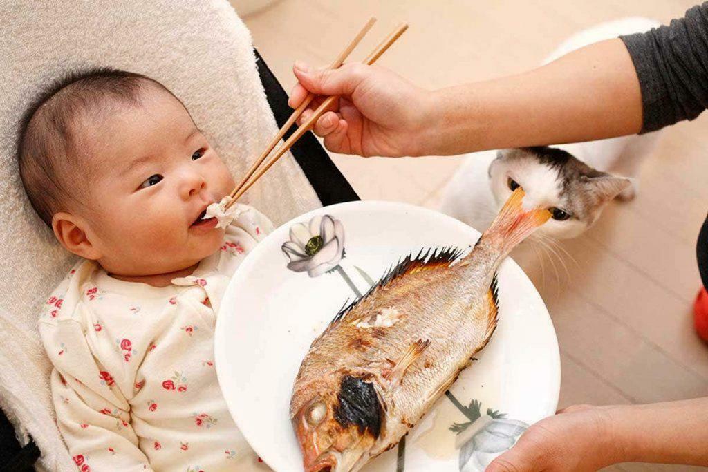 mating av fisk til babyen