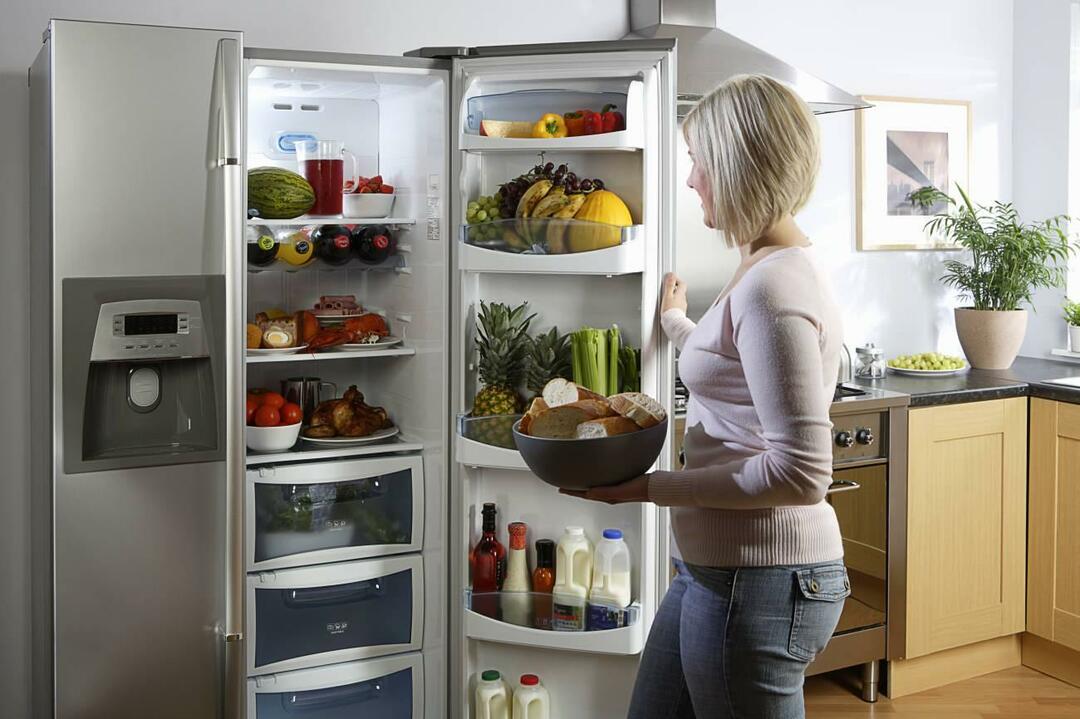 Hva gjør No Frost-kjøleskapet?