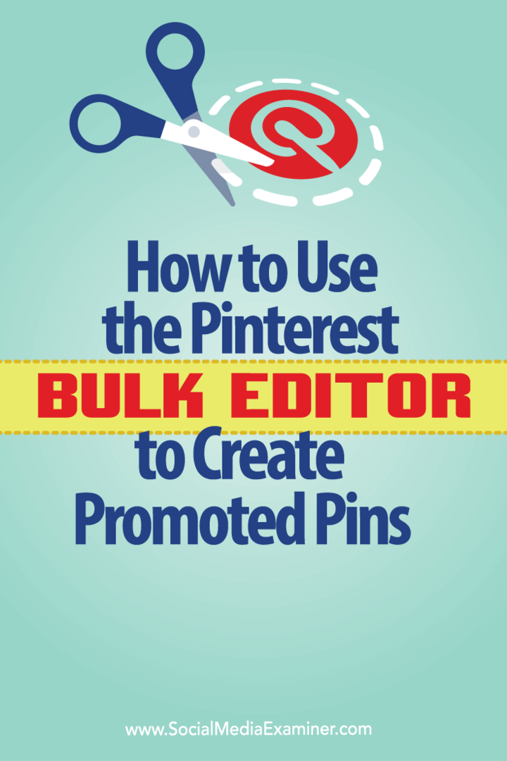 Slik bruker du Pinterest Bulk Editor til å lage promoterte pins: Social Media Examiner