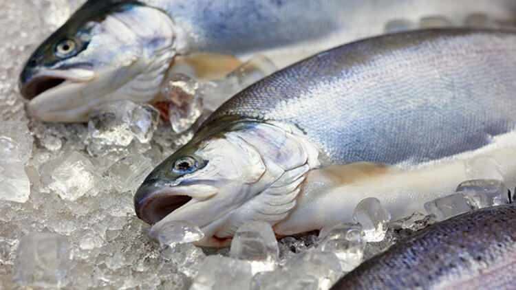 Endres smaken av fisken som kastes i fryseren?