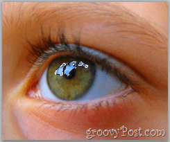 Adobe Photoshop Basics - Human Eye Select-refleksjon