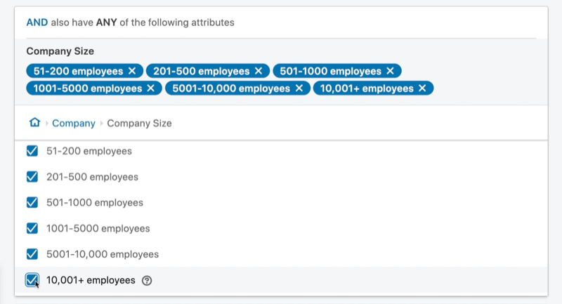 Eksempel på målgruppe for linked-annonsekampanje og attributt med selskapets størrelse mellom 51 og 10 001+ ansatte