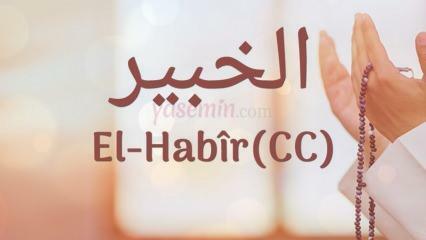 Hva betyr al-Habir (c.c)? Hva er fordelene med navnet Al-Habir? Esmaul Husna Al-Habir...
