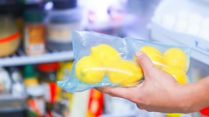 Hvordan lagre sitroner i kjøleskapet? Forslag slik at sitronen ikke blir muggen