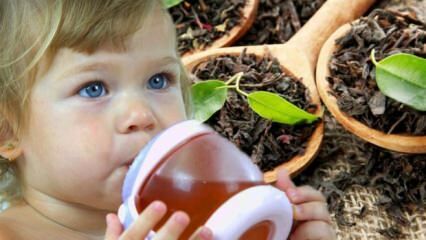 Kan babyer drikke te?