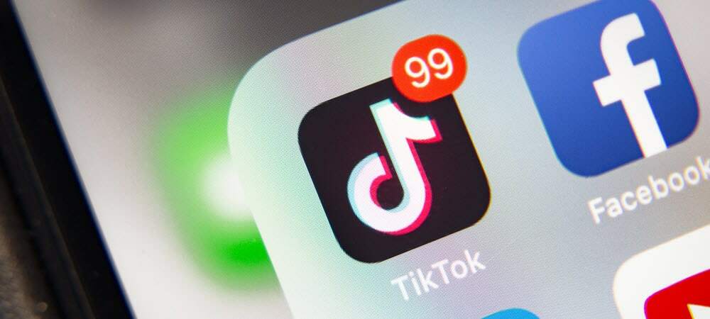 TikTok omtalt