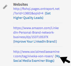 Selv om du ikke lenger kan tilpasse LinkedIn-profillinkene dine, kan du ta med beskrivelser ved siden av dem.