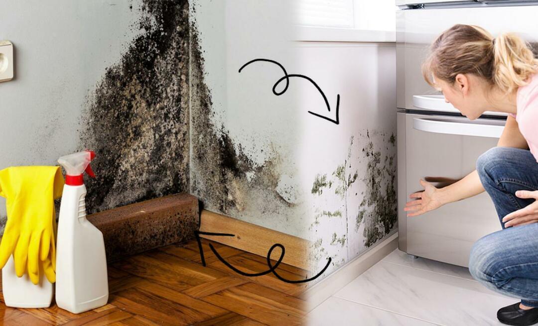 Hvordan eliminere fuktighet i huset? Hvordan forhindre fukt? Hvordan rengjøres fukt best?