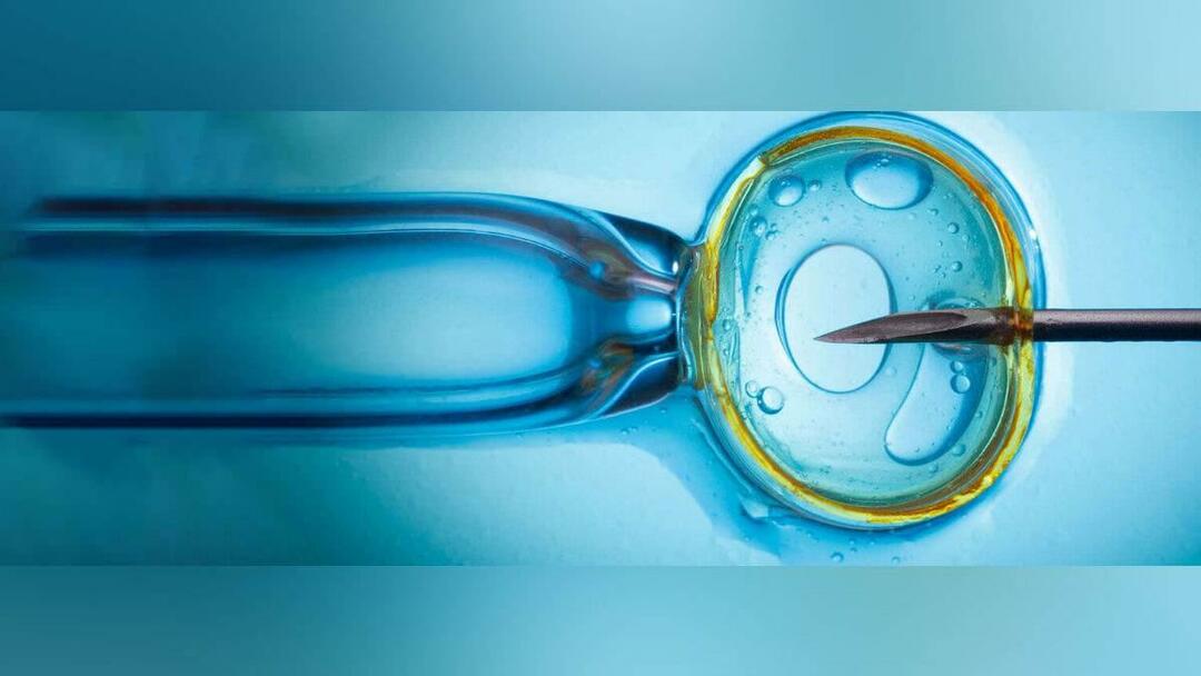 In vitro fertiliseringsbehandling dekkes av staten