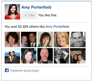 amy porterfield facebook som boks
