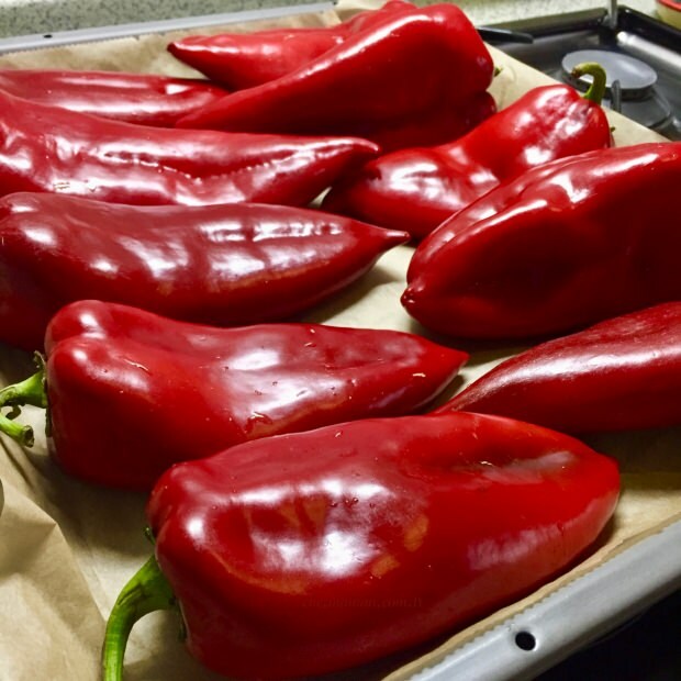 fordelene med rød pepper