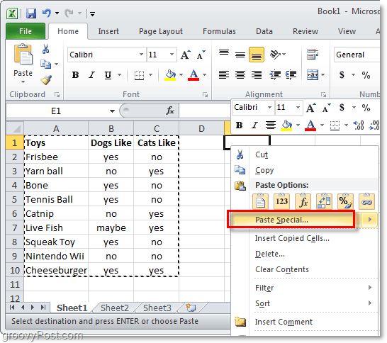 lim inn spesiell funksjon av Excel 2010