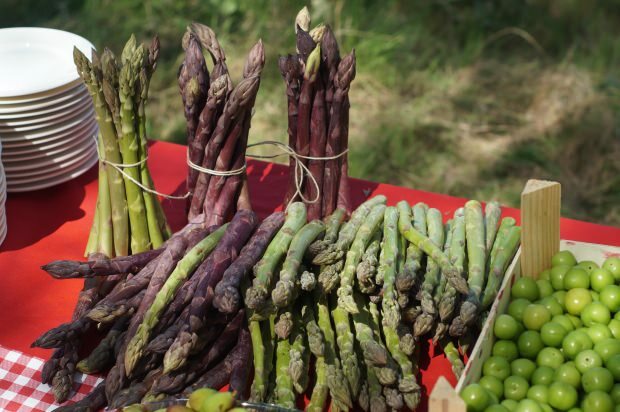 Hva er fordelene med asparges