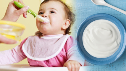 Hvordan lage yoghurt til babyer? Hjemmelagde yoghurtoppskrifter for babyer