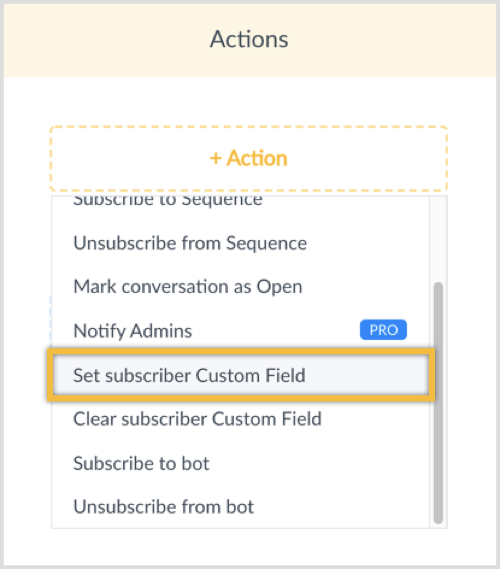 Klikk på + Handling-knappen og velg Set Subscriber Custom Field.