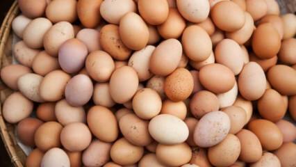 Hva bør vurderes når du velger et egg?